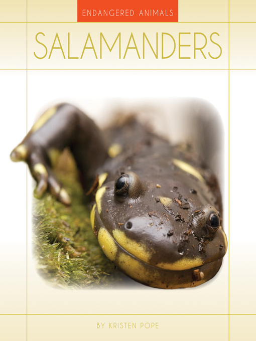 Title details for Salamanders by Kristen Pope - Available